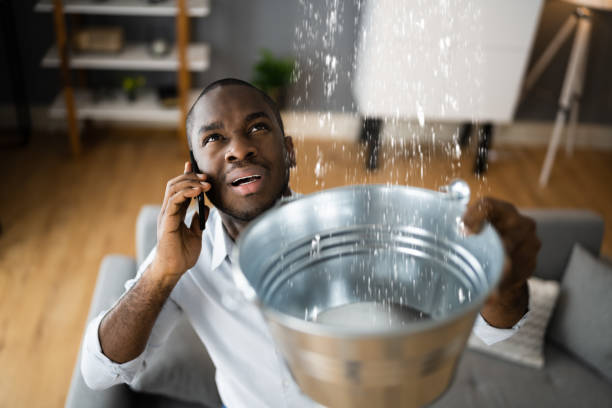 Best Basement water damage restoration  in Key Center, WA