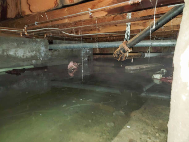 Best Water damage restoration company  in Key Center, WA