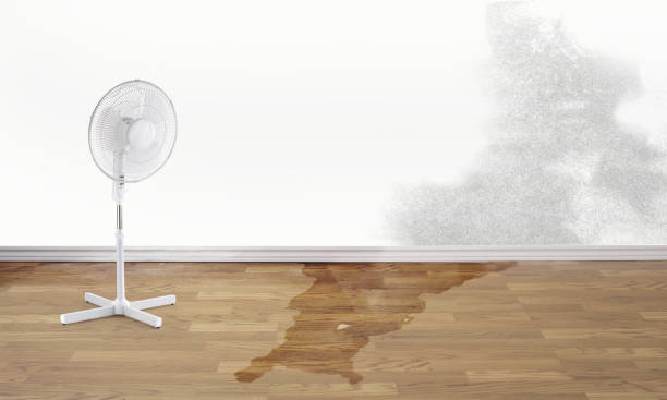 Best Fire Damage Restoration  in Key Center, WA