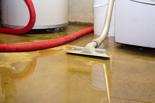Best Water damage restoration near me  in Key Center, WA