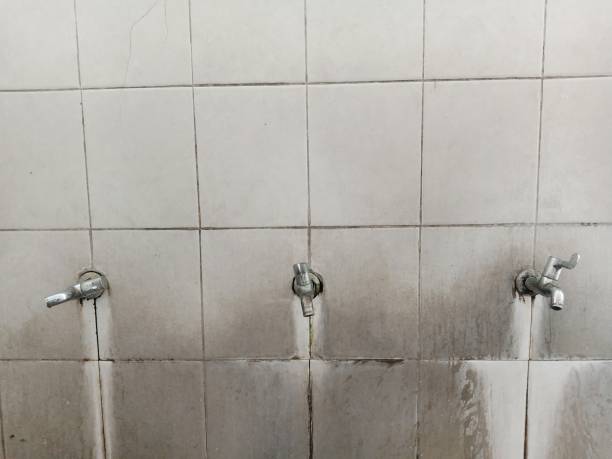Best Ceiling water damage repair  in Key Center, WA