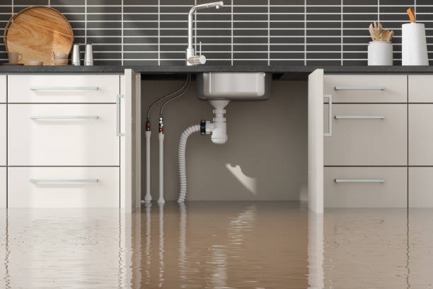 Best Mold removal after water damage  in Key Center, WA