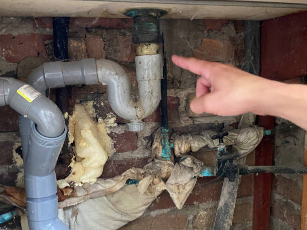 Best Flood damage cleanup  in Key Center, WA