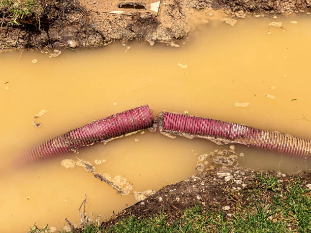 Best Professional water damage repair  in Key Center, WA